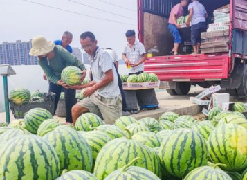 用小吊機(jī)給貨車吊裝西瓜的可行性分析