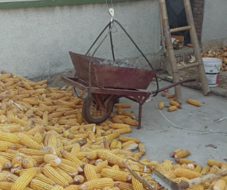 農(nóng)村往房上吊玉米的機(jī)器是室外吊運(yùn)機(jī)